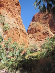 Bungle Nationalpark-025